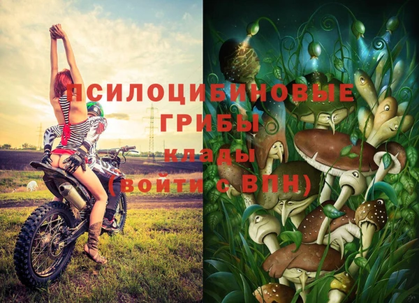 гидропоника Гусь-Хрустальный