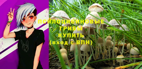 гидропоника Гусь-Хрустальный