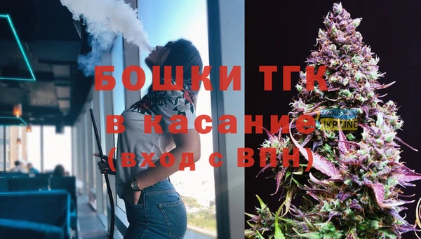 мдпв Горнозаводск