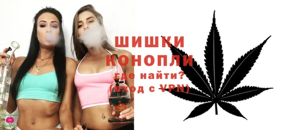 гидропоника Гусь-Хрустальный