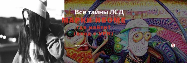 мдпв Горнозаводск