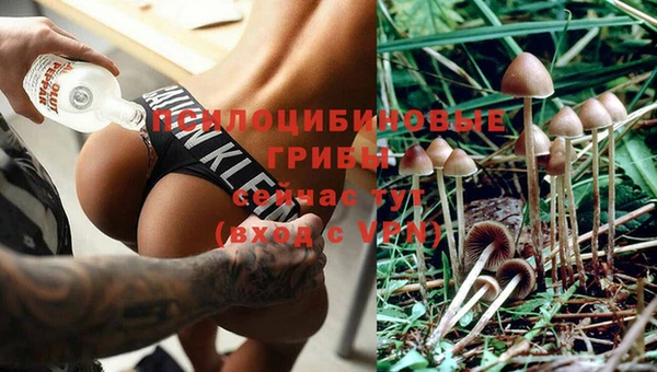 MESCALINE Гусев