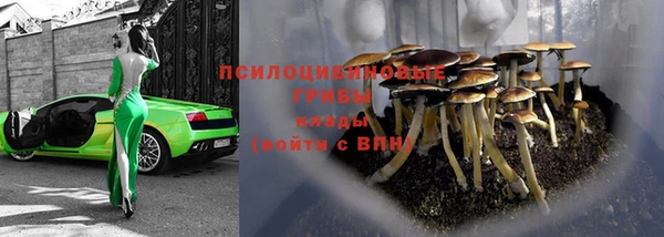 MESCALINE Гусев
